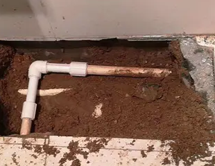 公安测漏水哪家好