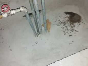 公安卫生间测漏水价格明细